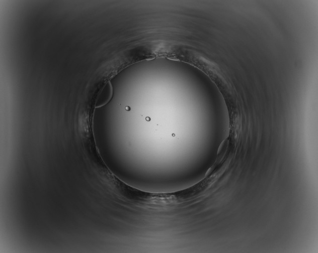 X0000088570571200705251120