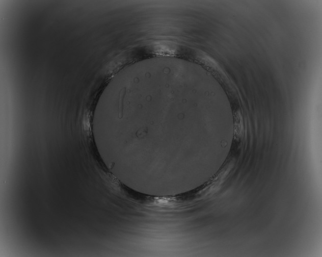 X0000088570573200705251120