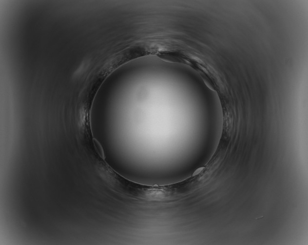 X0000088570574200705251120