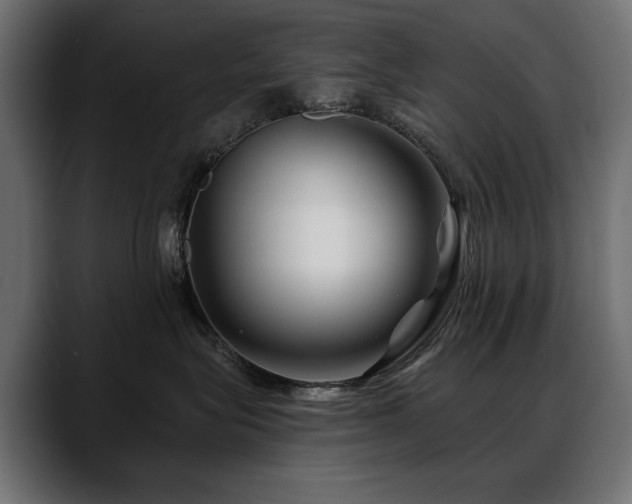 X0000088570575200705251120
