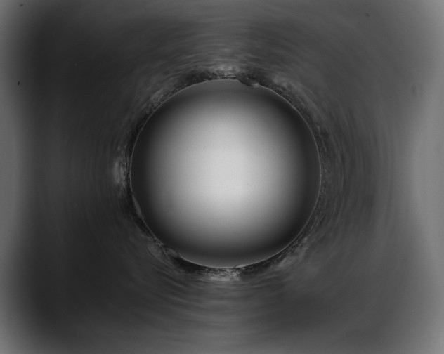 X0000088570576200705251120