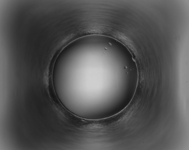 X0000088570578200705251119