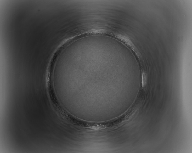 X0000088570579200705251119
