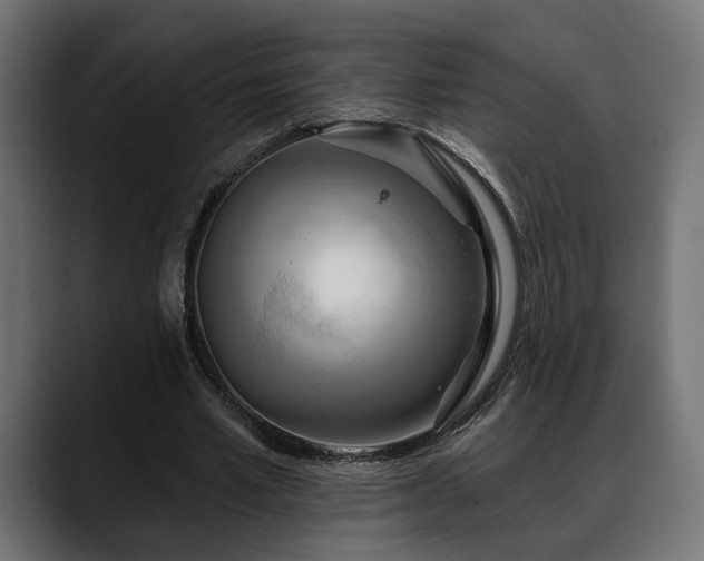 X0000088570581200705251119