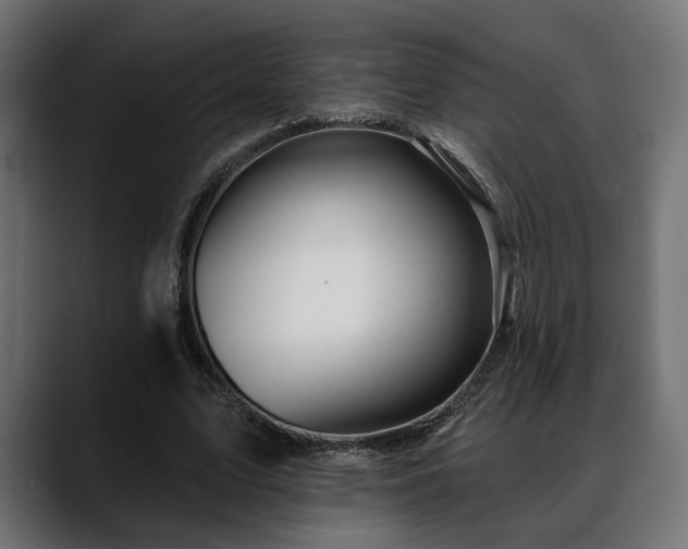 X0000088570583200705251119