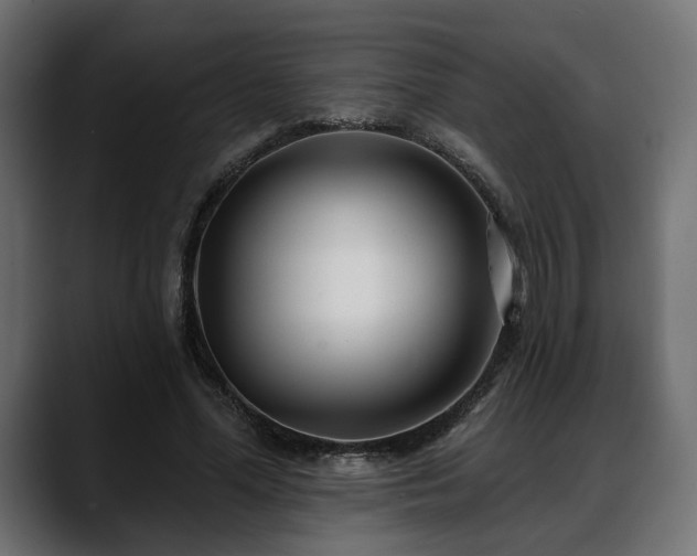 X0000088570588200705251119