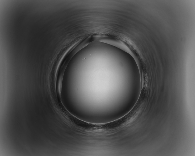 X0000088570589200705251119