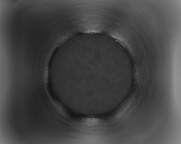 X0000088570590200705251119