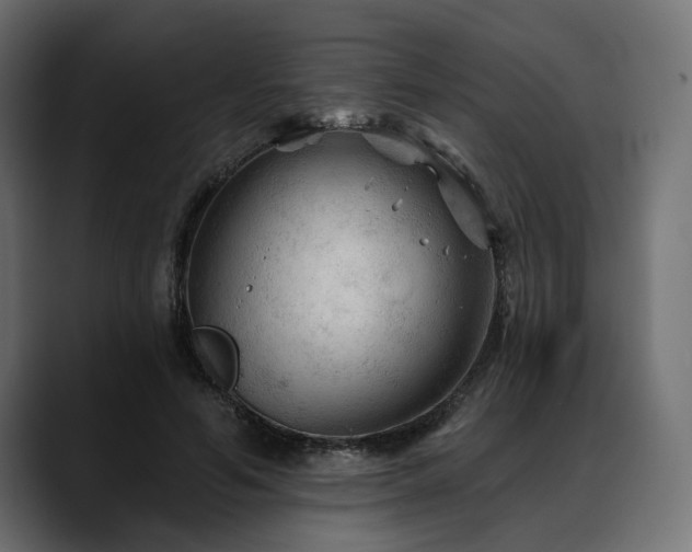 X0000088570594200705251119