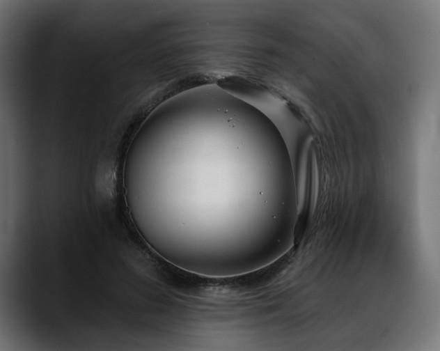 X0000088570596200705251119