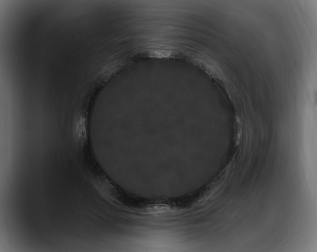 X0000088570598200705251119