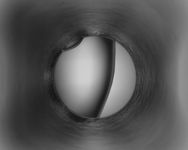 X0000088570601200705251119