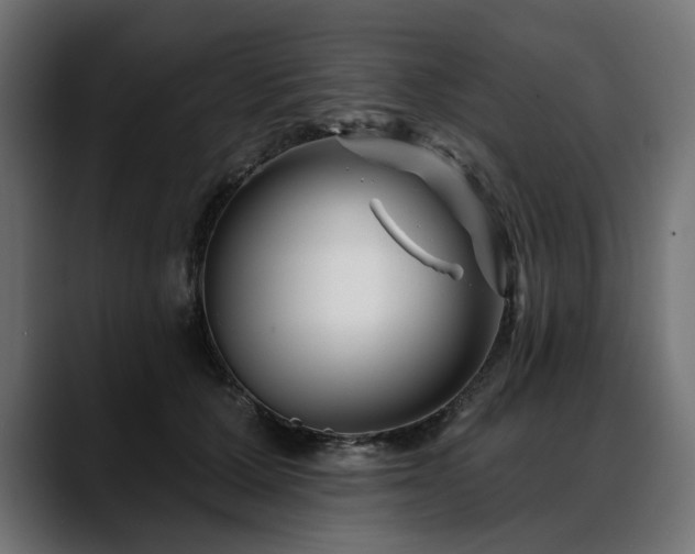X0000088570607200705251119
