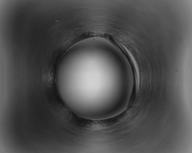 X0000088570608200705251119