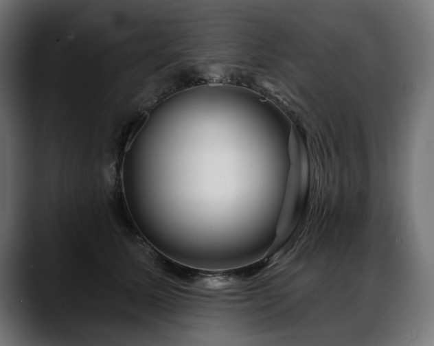 X0000088570611200705251119