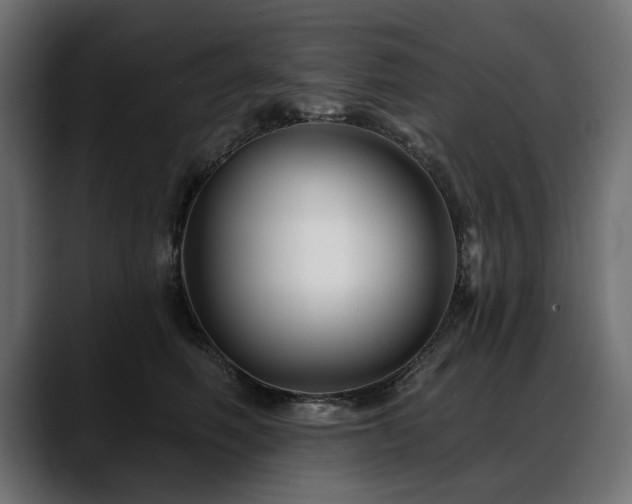 X0000088570614200705251119