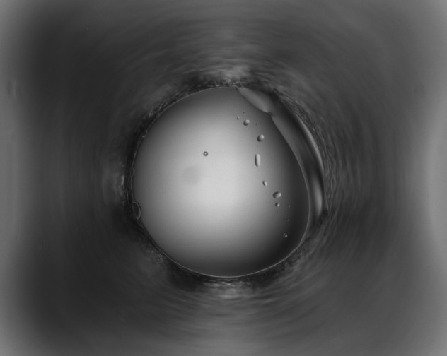 X0000088570615200705251119