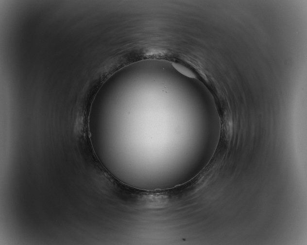 X0000088570619200705251119