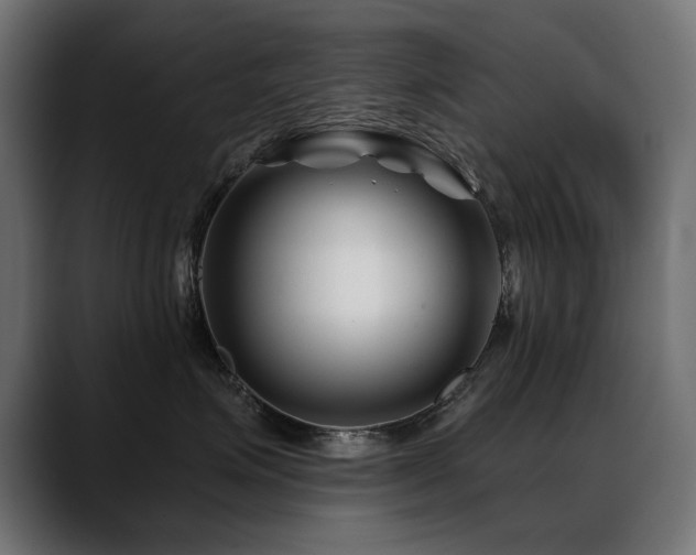 X0000088570623200705251119