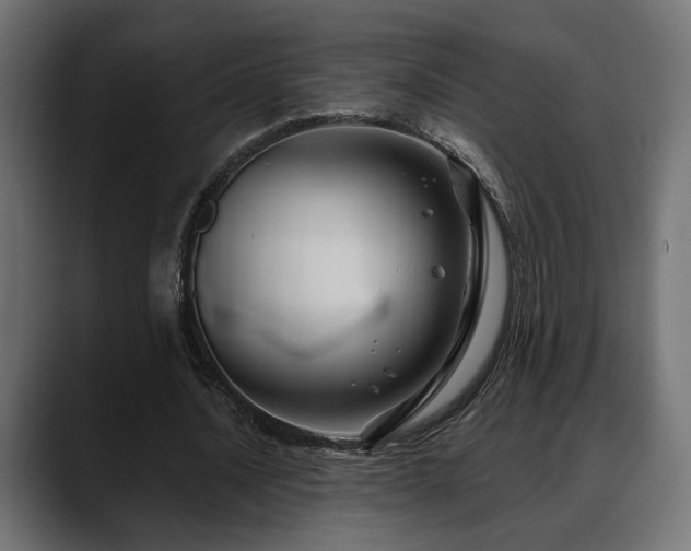 X0000088570628200705251118