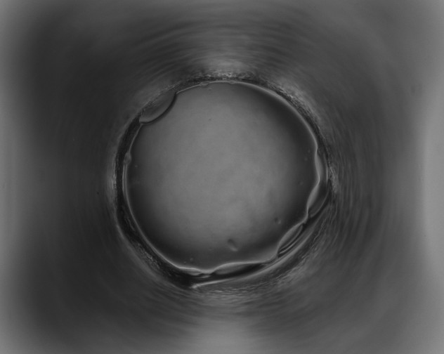 X0000088570630200705251118