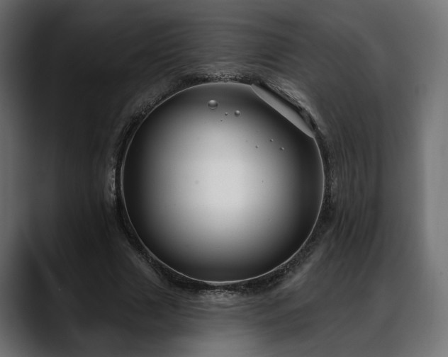 X0000088570633200705251118