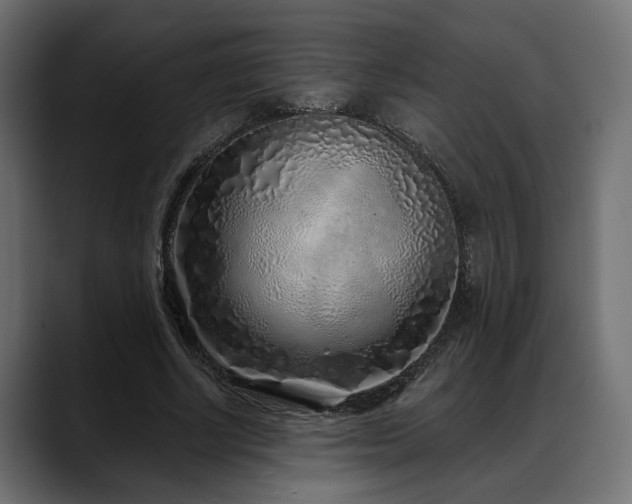 X0000088570634200705251118