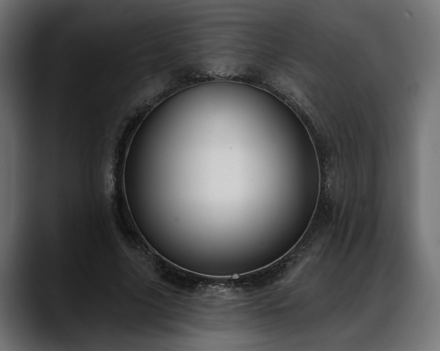 X0000088570635200705251118