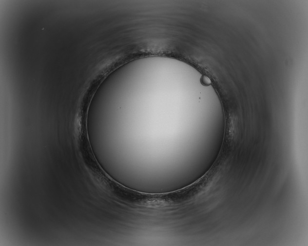 X0000088570636200705251118