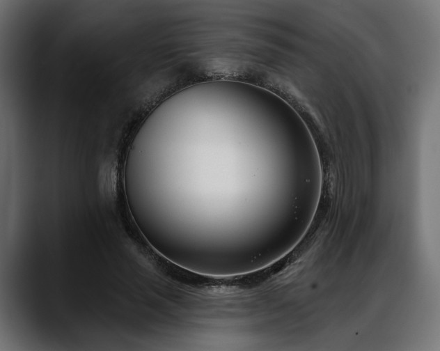 X0000088570637200705251118