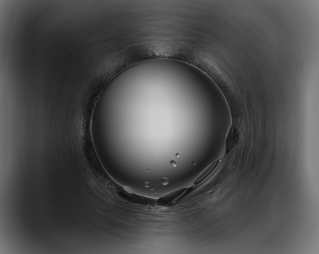 X0000088570639200705251118