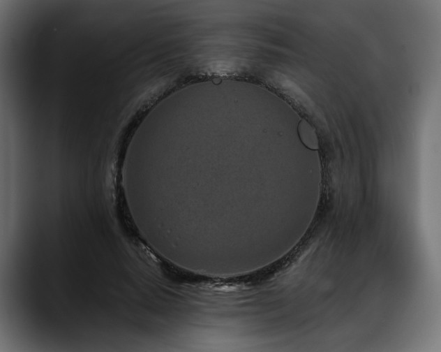X0000088570640200705251118