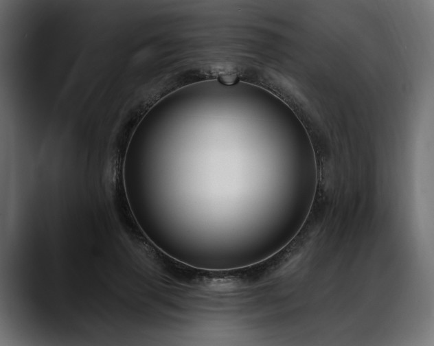 X0000088570645200705251118