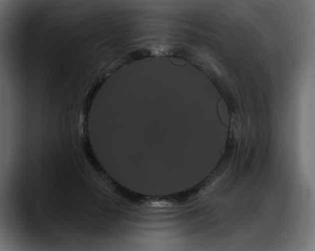 X0000088570650200705251118
