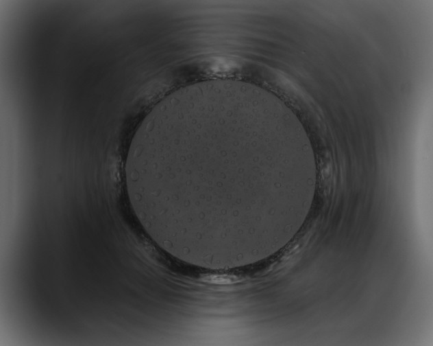 X0000088570654200705251118