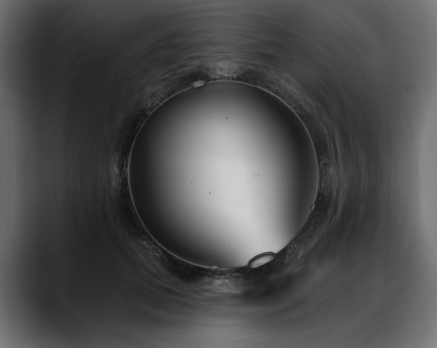 X0000088570655200705251119
