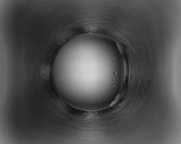X0000088570660200705251119