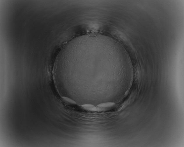 X0000088570661200705251119
