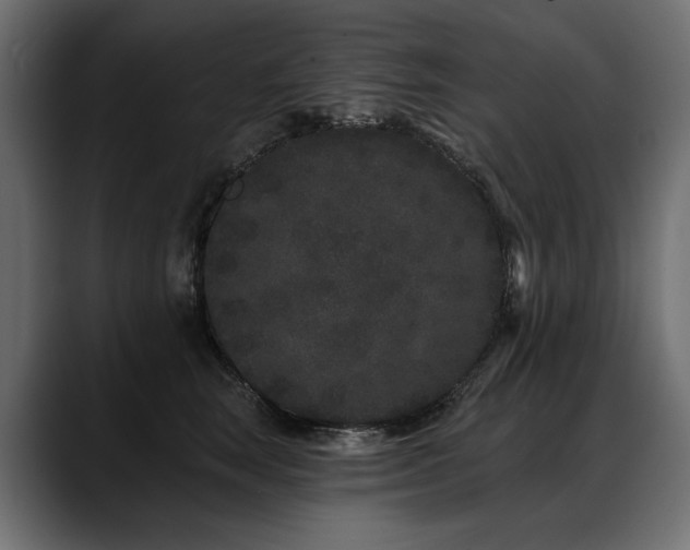 X0000088570663200705251119