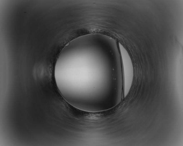 X0000088570664200705251119