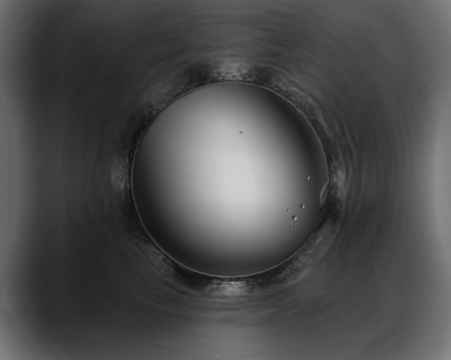 X0000088570665200705251119
