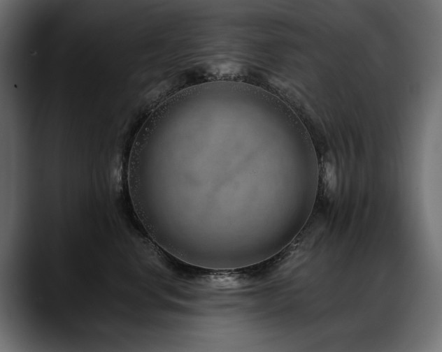 X0000088570668200705251119