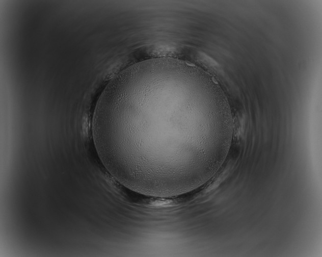 X0000088570669200705251119