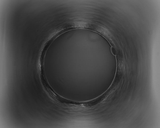 X0000088570674200705251118