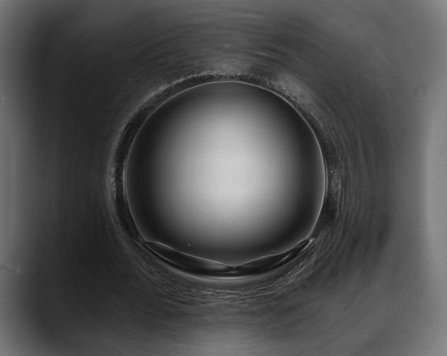 X0000088570676200705251118