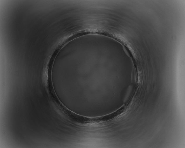 X0000088570678200705251118