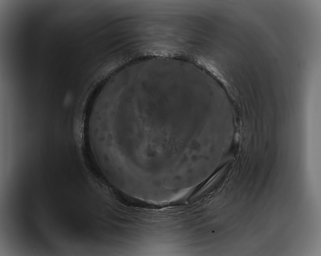 X0000088570679200705251118