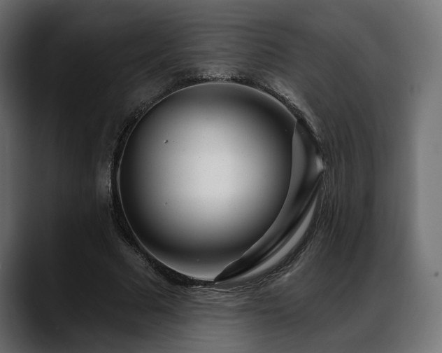 X0000088570681200705251118
