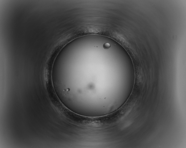 X0000088570683200705251118