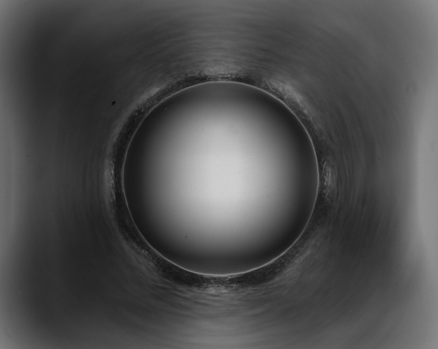 X0000088570684200705251118